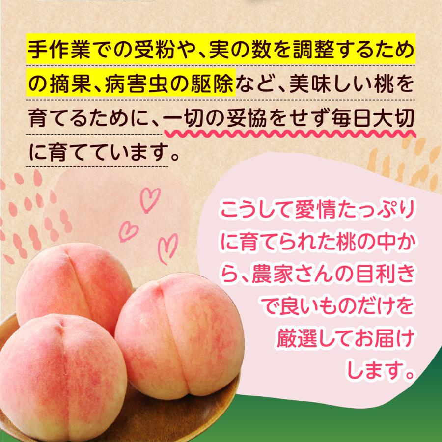 桃 福岡 白桃 送料無料 あさくらの桃 3箱 1箱あたり約1.5kg(5〜7玉) あかつき なつおとめ 九州 お取り寄せ 産地直送 果物 ご自宅用 まるかじり九州の画像
