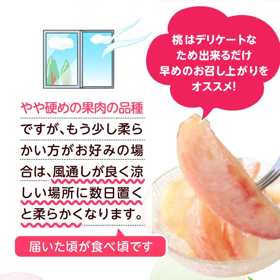 桃 福岡 白桃 送料無料 あさくらの桃 3箱 1箱あたり約1.5kg(5〜7玉) あかつき なつおとめ 九州 お取り寄せ 産地直送 果物 ご自宅用 まるかじり九州の画像