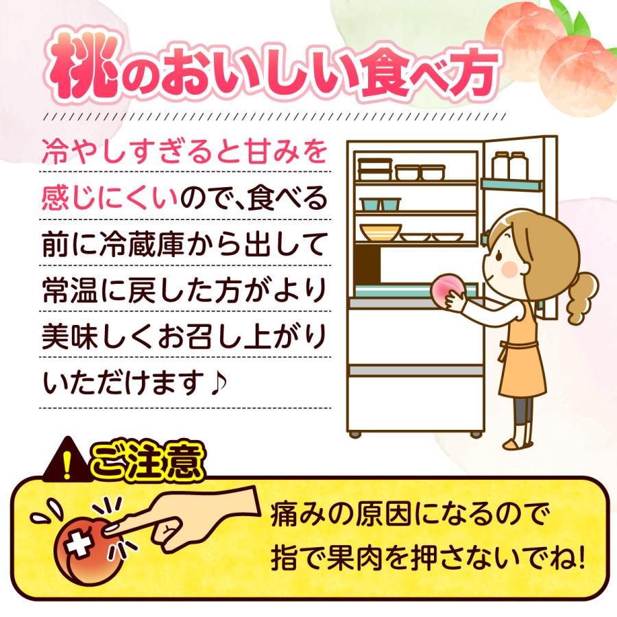 桃 福岡 白桃 送料無料 あさくらの桃 3箱 1箱あたり約1.5kg(5〜7玉) あかつき なつおとめ 九州 お取り寄せ 産地直送 果物 ご自宅用 まるかじり九州の画像