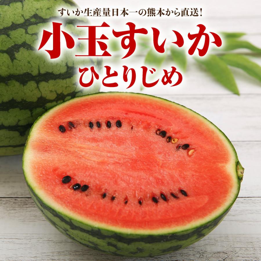 注目ブランド スイカ 小玉すいか 熊本県産 すいか ひとりじめ 小玉スイカ ３玉 約2kg 3玉 4玉以上 送料無料 完熟 熊本 プレゼント 贈答 おすすめ 人気 Wantannas Go Id