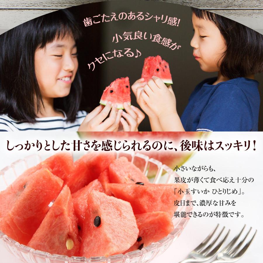注目ブランド スイカ 小玉すいか 熊本県産 すいか ひとりじめ 小玉スイカ ３玉 約2kg 3玉 4玉以上 送料無料 完熟 熊本 プレゼント 贈答 おすすめ 人気 Wantannas Go Id