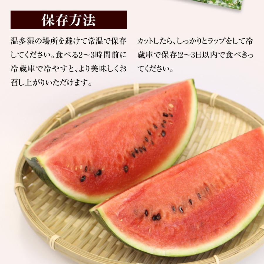 注目ブランド スイカ 小玉すいか 熊本県産 すいか ひとりじめ 小玉スイカ ３玉 約2kg 3玉 4玉以上 送料無料 完熟 熊本 プレゼント 贈答 おすすめ 人気 Wantannas Go Id