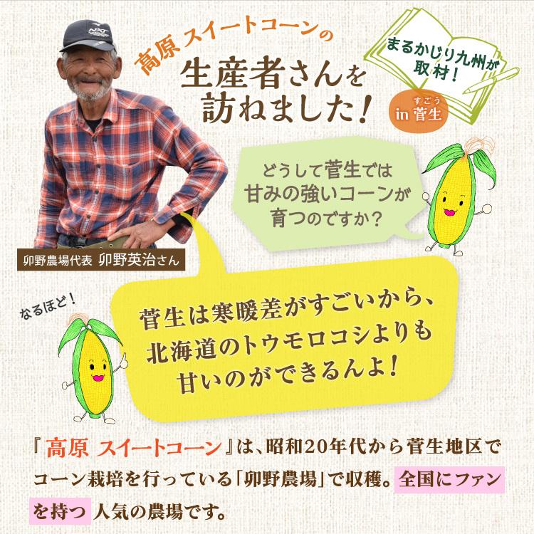 とうもろこし スイートコーン 大分 卯野農場 3箱セット 1箱あたり約2kg