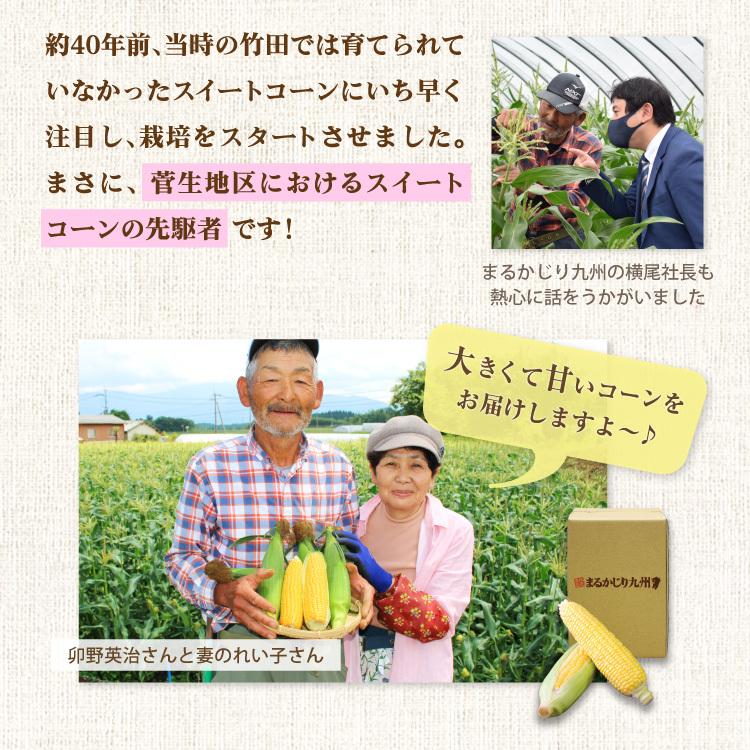 とうもろこし スイートコーン 大分 卯野農場 3箱セット 1箱あたり約2kg