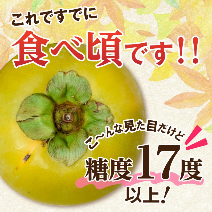 太秋柿 柿 甘柿 福岡 かき 甘熟 3箱セット 1箱あたり約2kg 秀品 L〜2L