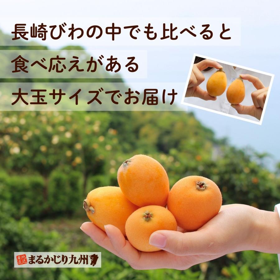 まるかじり九州 びわ 枇杷 長崎 大玉 3箱セット 1箱あたり約500g (9玉