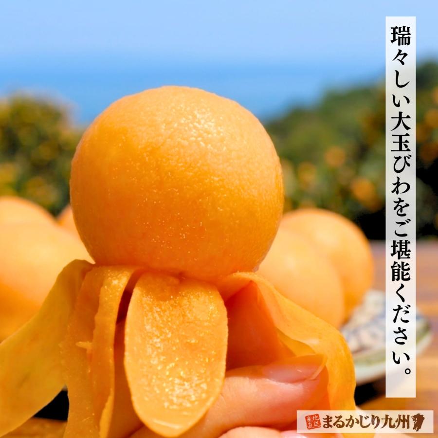 まるかじり九州 びわ 枇杷 長崎 大玉 3箱セット 1箱あたり約500g (9玉