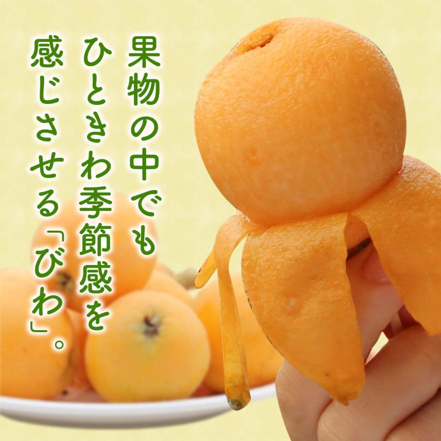 まるかじり九州 びわ 枇杷 長崎 大玉 3箱セット 1箱あたり約500g (9玉