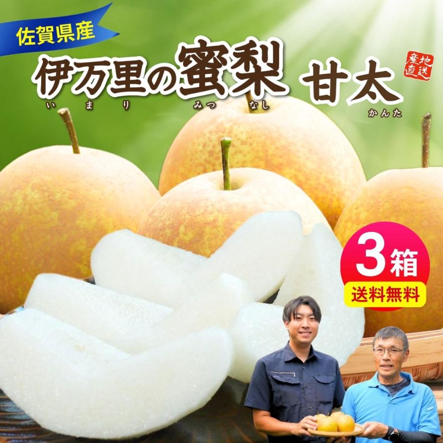 鳥取産甘太梨８〜9玉２箱セット 梨 甘太 佐賀 伊万里の蜜梨 3箱セット 1箱あたり約2kg(4玉) 産地直送