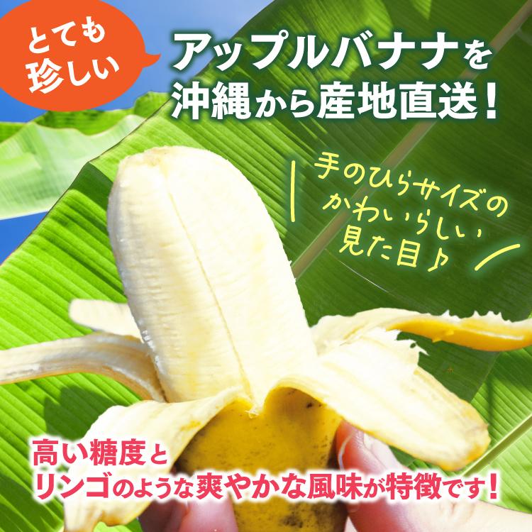 アップルバナナ 3本セット アップルバナナ 沖縄 3箱セット 1箱あたり約1kg(6〜20本) バナナ