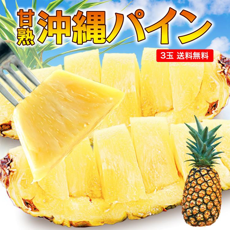 パイン 沖縄 送料無料 3玉セット 1玉あたり約800g〜1kg パイナップル