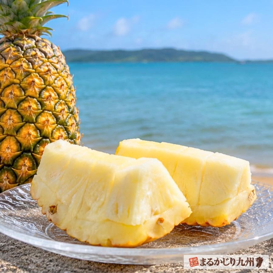 パイン 沖縄 3玉セット 1玉あたり約800g〜1kg パイナップル サン