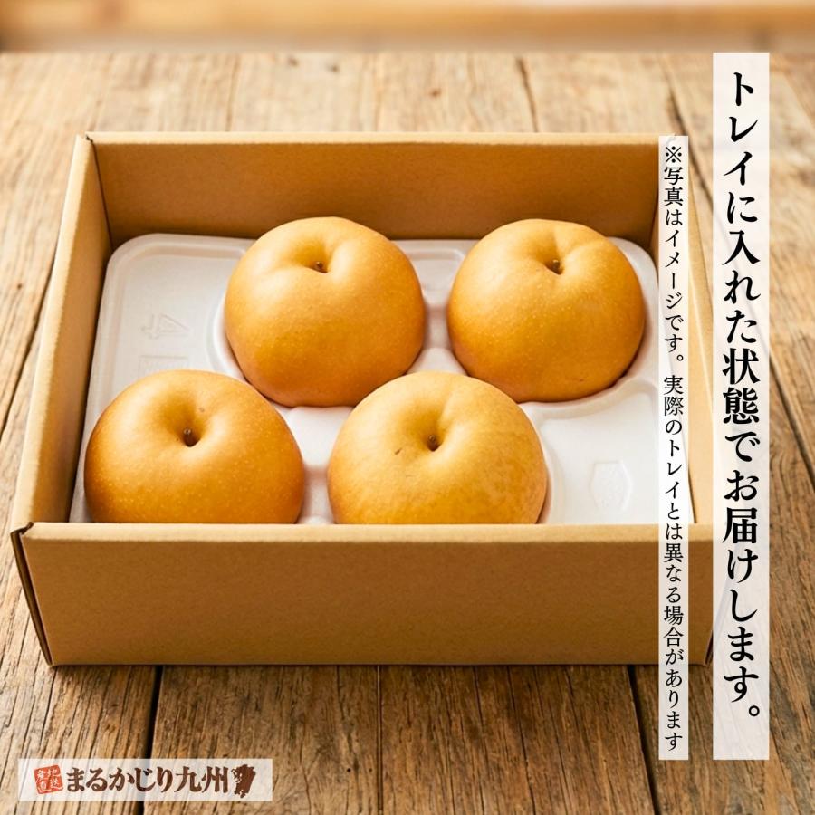 梨 あきづき 佐賀 伊万里の蜜梨 3箱セット 1箱あたり約2kg(4玉) 産地