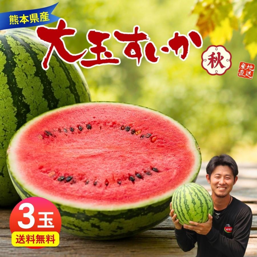 秋スイカ 羅皇 熊本 大玉 3玉セット 1玉あたり7〜8kg 2Lサイズ スイカ
