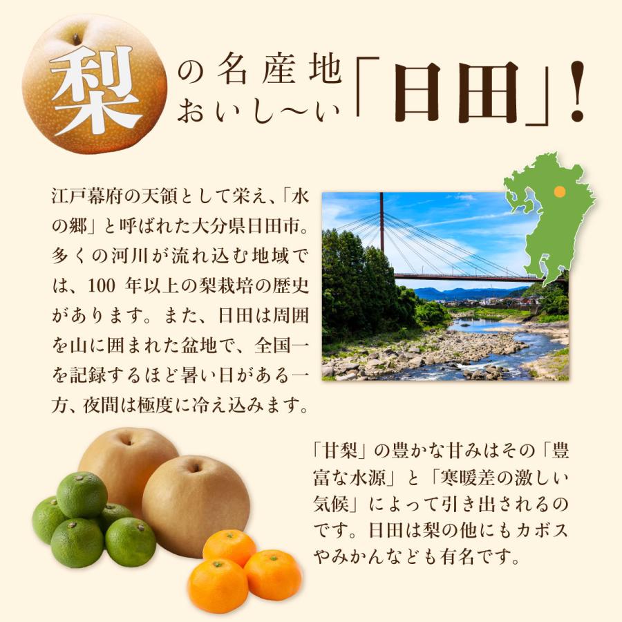 梨 甘梨 日田梨 少なからず県産 生まれ育つ甘梨 約8kg 日田の甘梨 4箱 出どころ直送 和梨 有りの実 差し上げる 差し上げ物 秀品