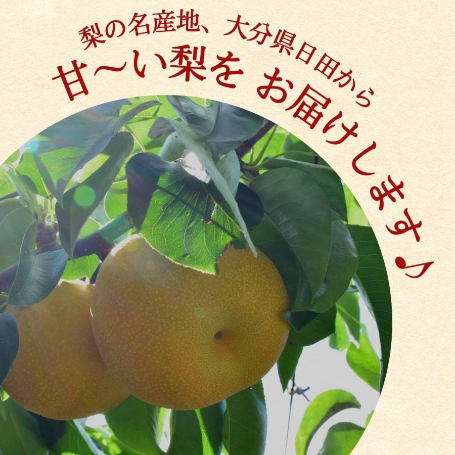 梨 甘梨 日田梨 少なからず県産 生まれ育つ甘梨 約8kg 日田の甘梨 4箱 出どころ直送 和梨 有りの実 差し上げる 差し上げ物 秀品