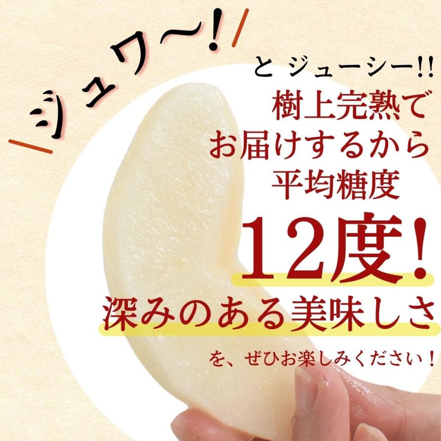 梨 甘梨 日田梨 少なからず県産 生まれ育つ甘梨 約8kg 日田の甘梨 4箱 出どころ直送 和梨 有りの実 差し上げる 差し上げ物 秀品