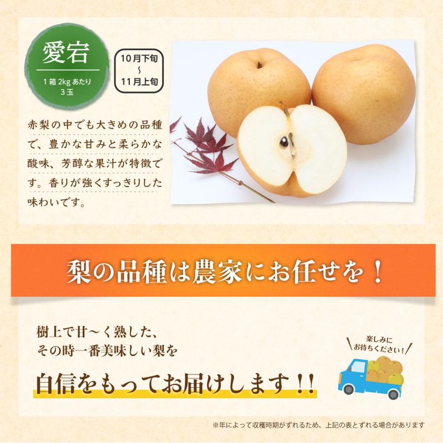 梨 甘梨 日田梨 少なからず県産 生まれ育つ甘梨 約8kg 日田の甘梨 4箱 出どころ直送 和梨 有りの実 差し上げる 差し上げ物 秀品
