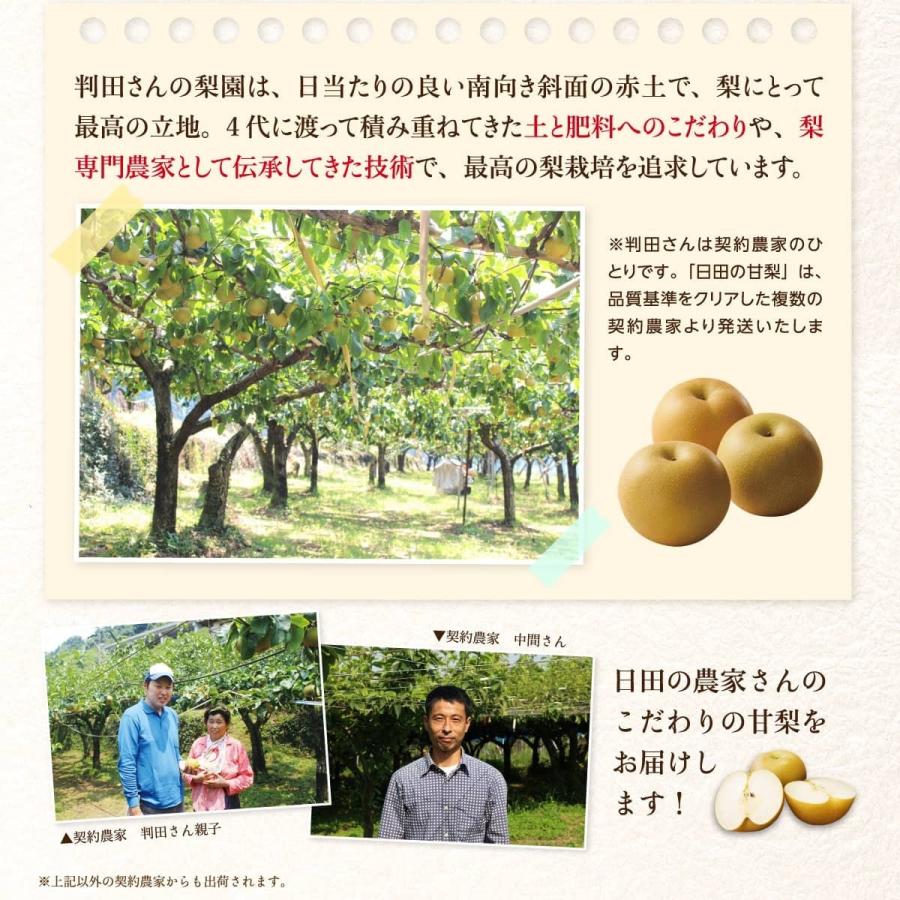 梨 甘梨 日田梨 少なからず県産 生まれ育つ甘梨 約8kg 日田の甘梨 4箱 出どころ直送 和梨 有りの実 差し上げる 差し上げ物 秀品