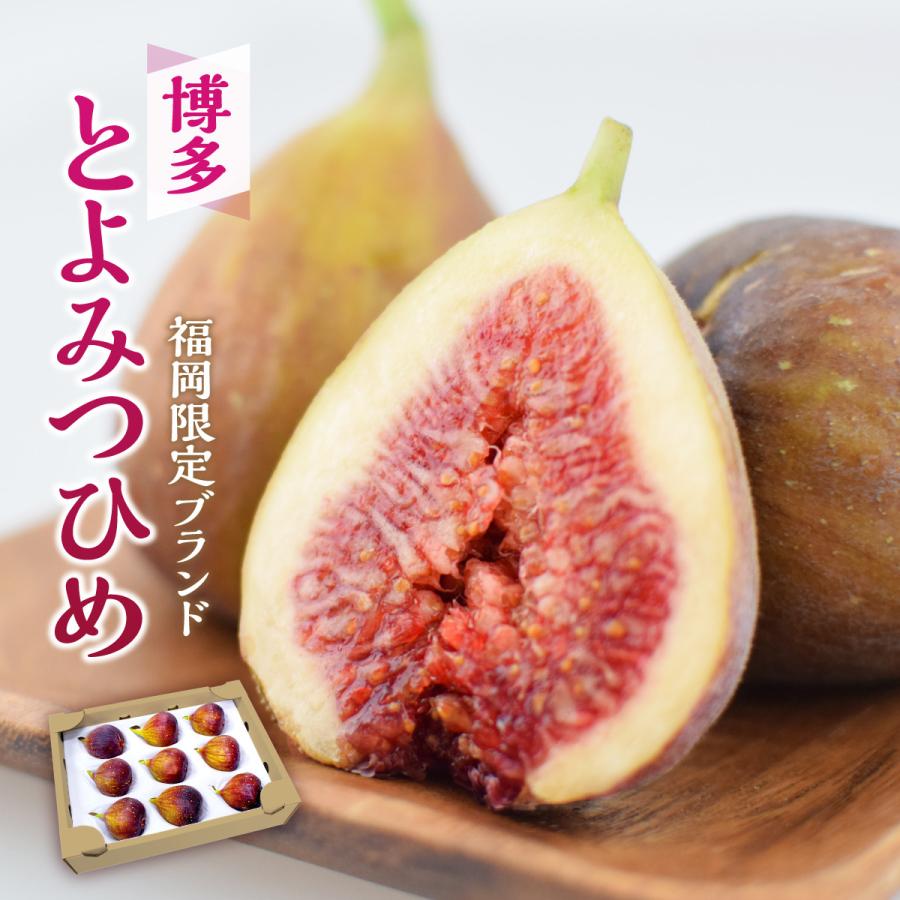 福岡 博多とよみつひめ 4箱 約900g 4箱セット 送料無料 いちじく 秀品 人気 おすすめ 果物 生いちじく 無花果 糖度17度以上 産地直送 まるかじり九州 通販 Yahoo ショッピング