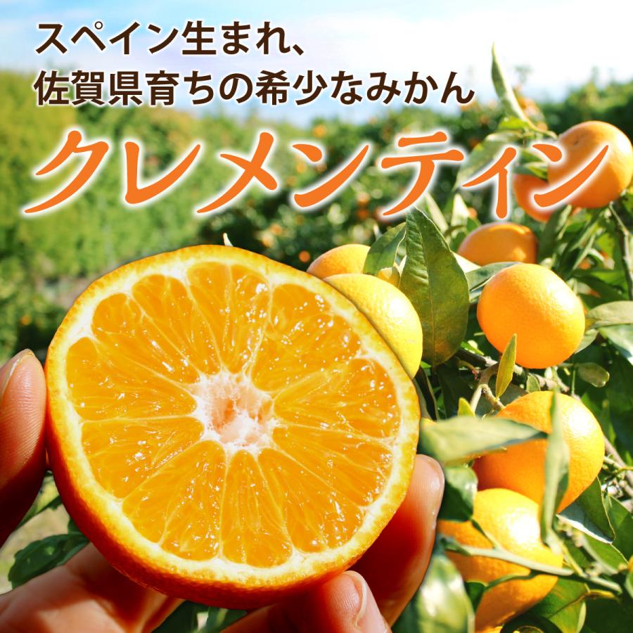 送料無料 佐賀県産 みかん クレメンティン クレメンタイン 4箱 送料無料 佐賀県産 みかん クレメンティン クレメンタイン 4箱
