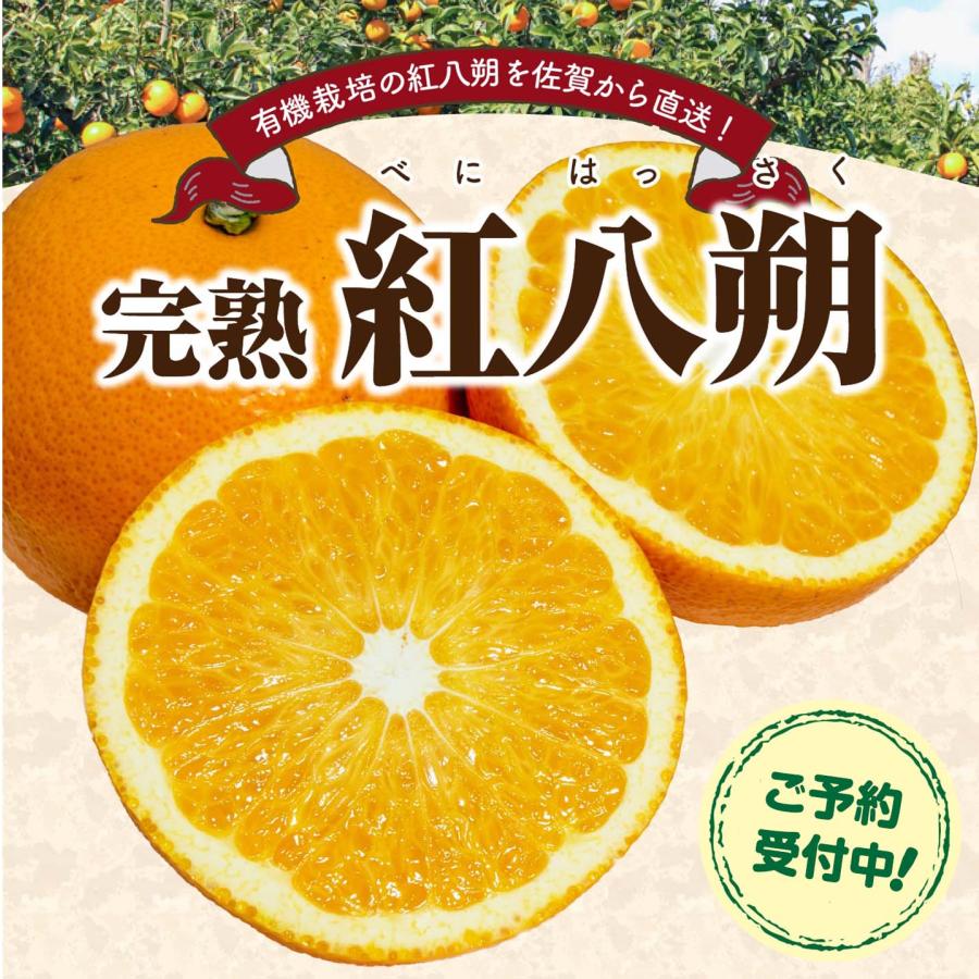 まるかじり九州 紅八朔 佐賀 有機栽培 送料無料 4箱セット 1箱あたり約
