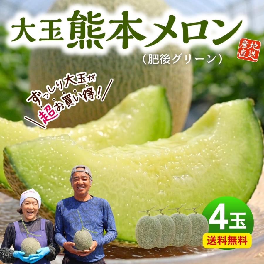 メロン 熊本 青肉 4玉セット 1玉あたり約1.5kg 肥後グリーン 完熟 九州