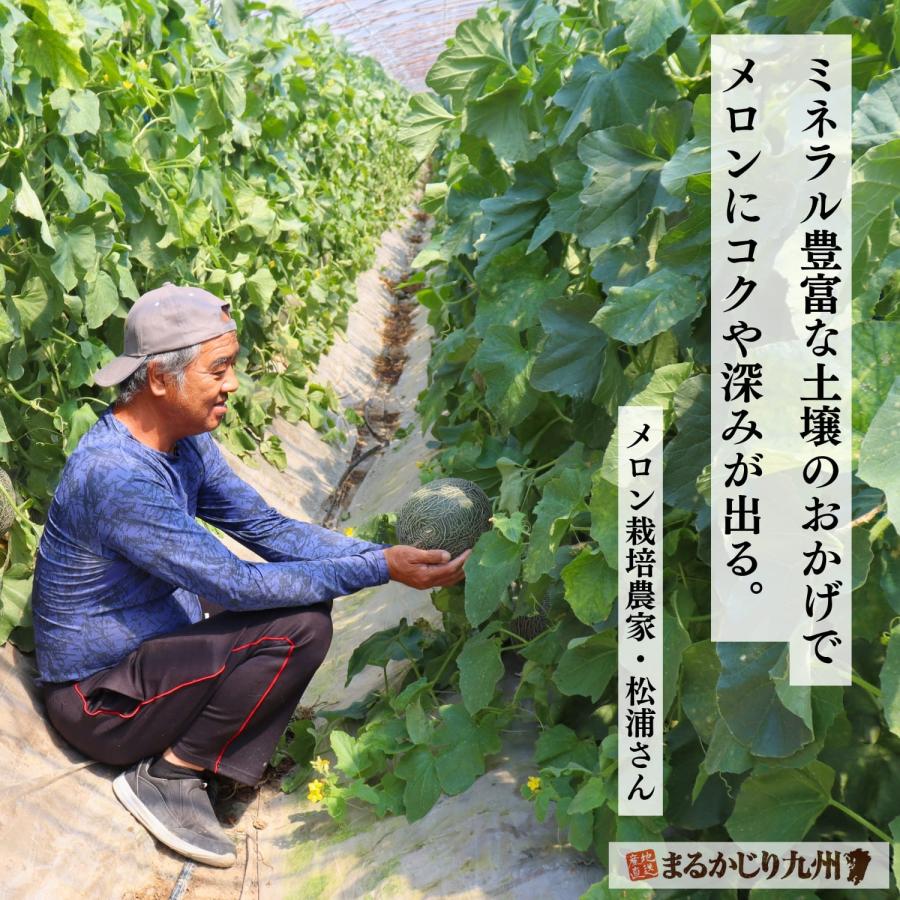 メロン 熊本 青肉 4玉セット 1玉あたり約1.5kg 肥後グリーン 完熟 九州