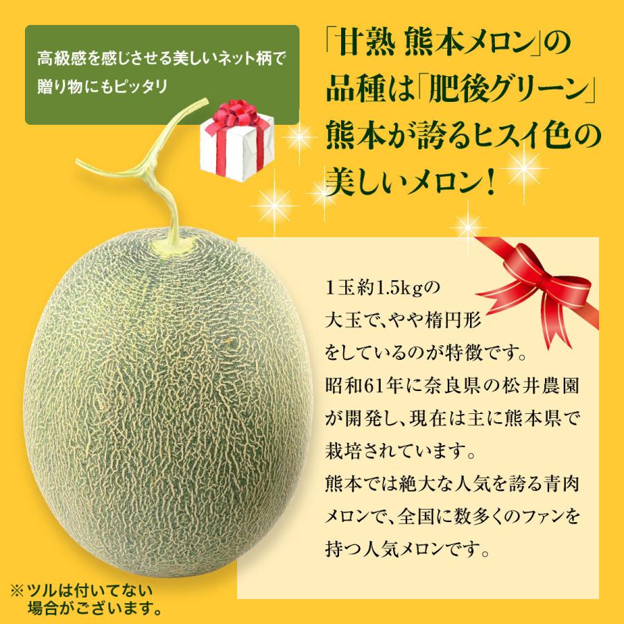 メロン 熊本 青肉 4玉セット 1玉あたり約1.5kg 肥後グリーン 完熟 九州