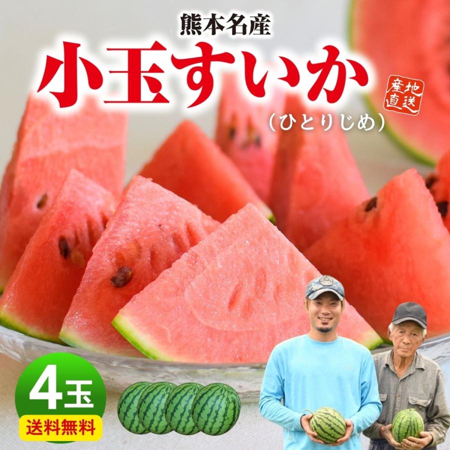 送料無料 スイカ 小玉すいか 熊本 ひとりじめ 4玉セット 1玉あたり約