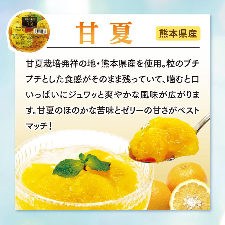 まるかじり九州 ゼリー ギフト フルーツゼリー 詰め合わせ 6種 4箱