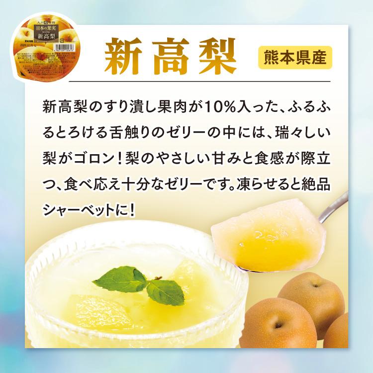 まるかじり九州 ゼリー ギフト フルーツゼリー 詰め合わせ 6種 4箱
