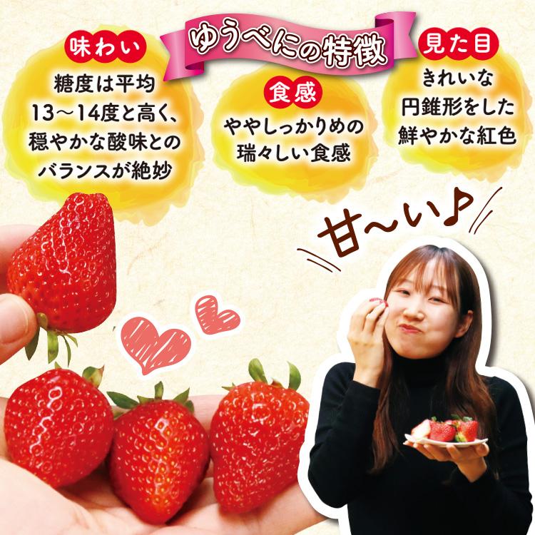 まるかじり九州 【まもなく完売】いちご ゆうべに 熊本 送料無料 4箱