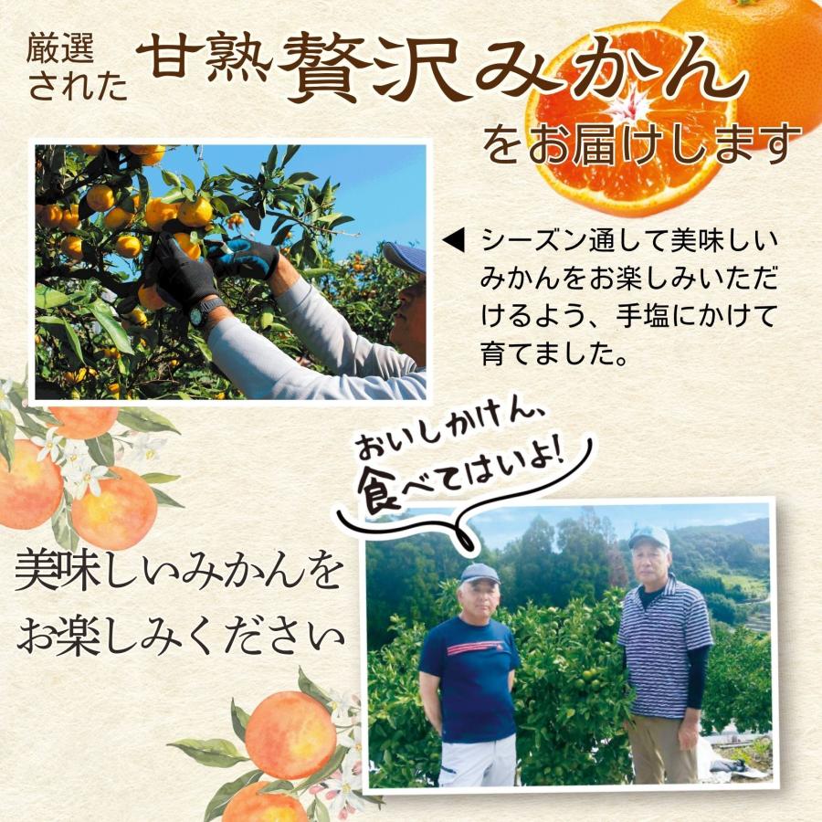 みかん 熊本 福岡 送料無料 甘熟贅沢みかん 4箱セット 1箱あたり約2kg