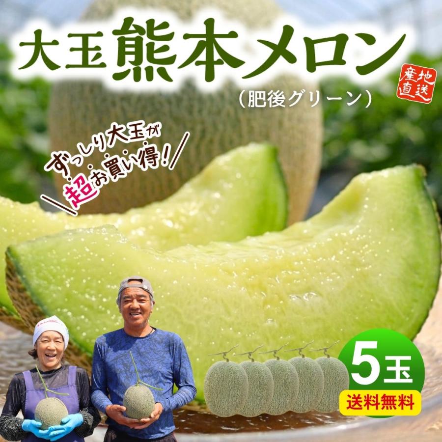 メロン農家直送　訳あり　5玉入り 8キロ 糖度は十分あります メロン 熊本 青肉 5玉セット 1玉あたり約1.5kg 肥後グリーン 完熟 九州