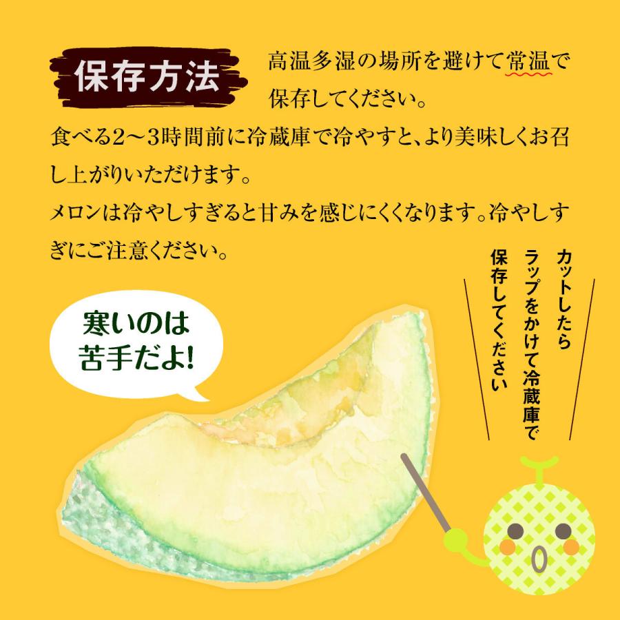 メロン 熊本 青肉 5玉セット 1玉あたり約1.5kg 肥後グリーン 完熟 九州