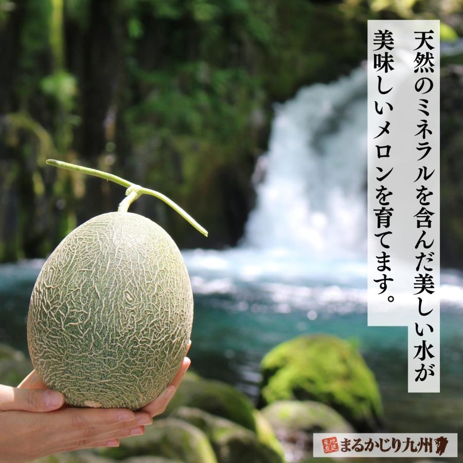メロン 熊本 青肉 5玉セット 1玉あたり約1.5kg 肥後グリーン 完熟 九州