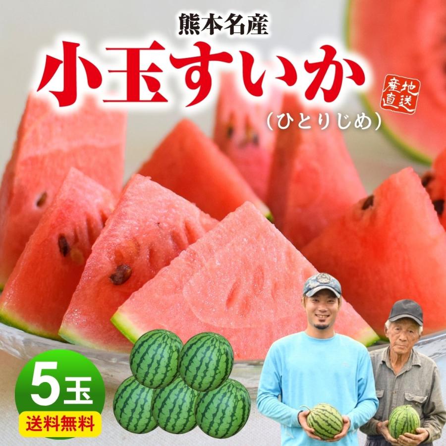 産地直送！小玉スイカひとりじめ5玉入！甘くて美味しい箱込9.5キロ前後 すいか 熊本 小玉 ひとりじめ 5玉セット 1玉あたり約2kg 九州 産地直送