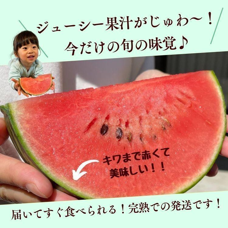 すいか 熊本 小玉 ひとりじめ 5玉セット 1玉あたり約2kg 九州 産地直送