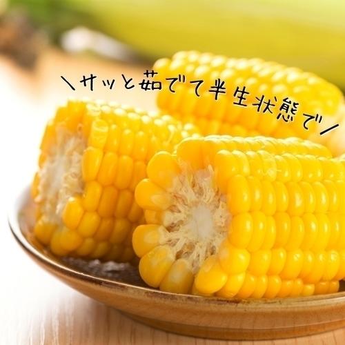 2970円 春新作の 送料無料 スイートコーン とうもろこし 高原スイートコーン 大分産 菅生 ５箱 約2kg 約350g 6本 5箱 恵味 産地直送 人気 甘党