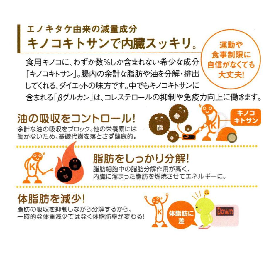 未開封　新品　純銀製 　斉藤一人さん　開運銀へび 木製箱入り 銀座まるかん ワクワク命 春ウコン キノコキトサン シャンピニオン