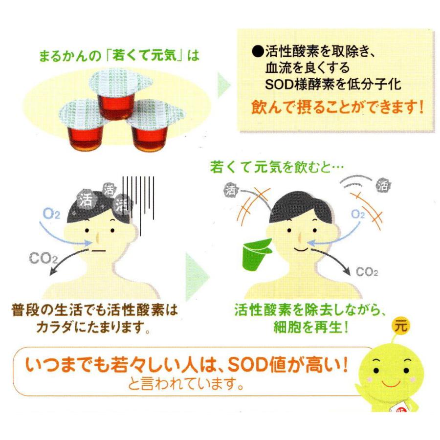 銀座まるかん 若くて元気 1袋14個入り 酵素 SOD様酵素 爆買 【まるかん