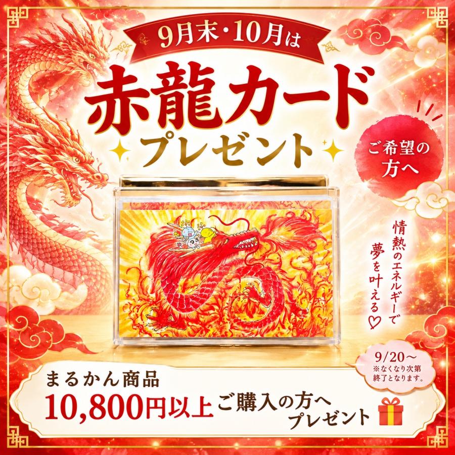 銀座まるかん ohセレブ キンニクサプリ 筋肉サプリ 155粒 爆買 即日