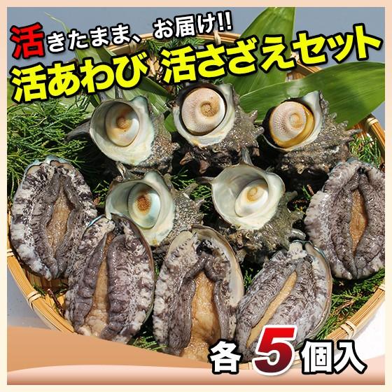 活えぞあわび養殖 韓国産 活ざざえ各5個入 海水入酸素入 送料無料 9種類のカラーレシピ 保存方法付なのでご家庭で料理できます それに100 活きたまま As2 K 005 マルカツ市場 御宿活魚 ヤフー店 通販 Yahoo ショッピング