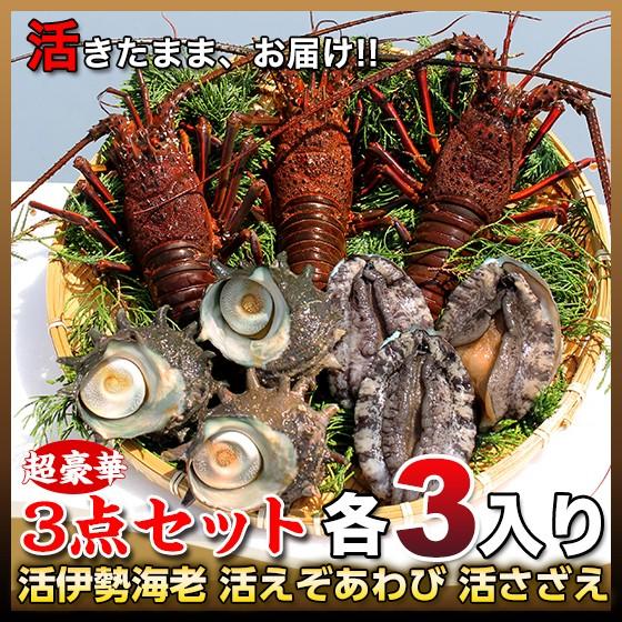さざえアワビ伊勢海老トコブシスカリ