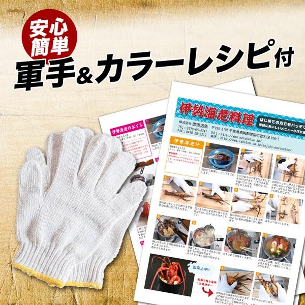 伊勢海老600g（200g〜230ｇ×3尾）活〆お刺身用冷凍〔送料無料〕5種類のカラーレシピ・保存方法付 動きませんのでラクラク調理｜marukatsu-onjuku11｜02