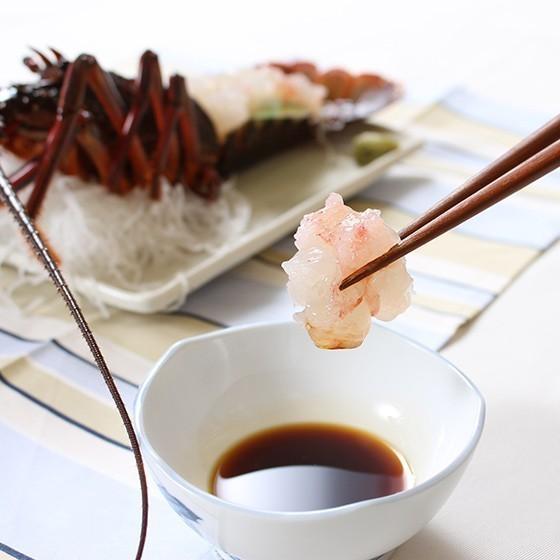 伊勢海老 約495g(150〜180g×3尾)活〆お刺身用冷凍〔送料無料 伊勢海老 約495g(150〜180g×3尾)活〆お刺身用冷凍〔送料無料