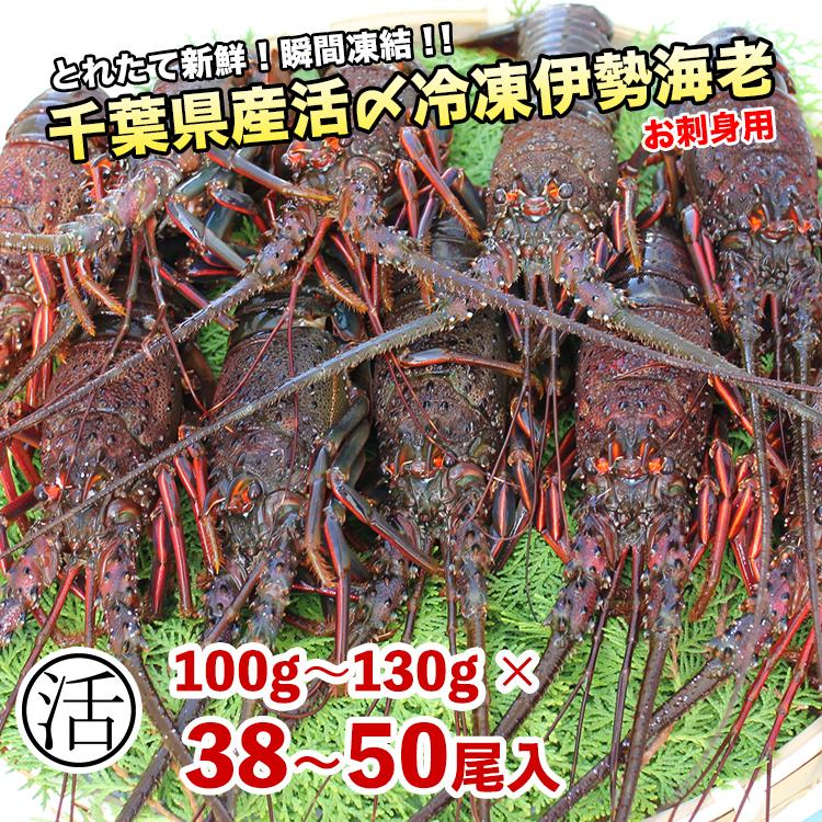 伊勢海老5kg(100g〜130gが38〜50尾)活〆お刺身用冷凍〔送料 伊勢海老5kg(100g〜130gが38〜50尾)活〆お刺身用冷凍〔送料