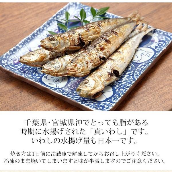 干物 送料無料 (16) 真いわし丸干し5尾入り×3袋 合計15尾 朝食・お酒の