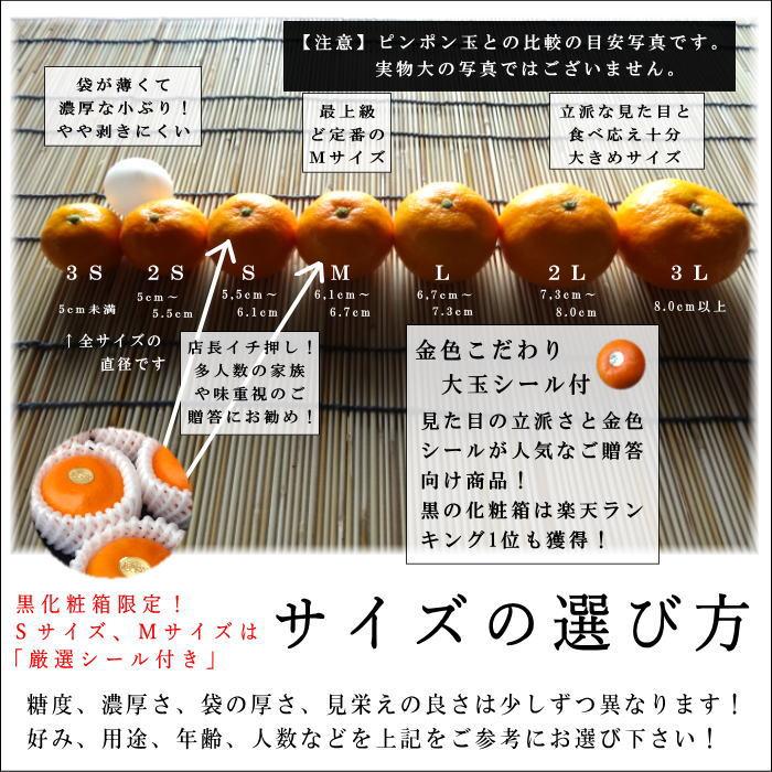 ハウスみかん お中元 甘い 送料無料 ギフト 高級 贈答 農家直送 新鮮 濃厚 (04) 蜜ツ星 みつぼし 黒の化粧箱(中) Ｍサイズ 秀品 １２玉 |  | 12